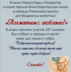 Благотворительная акция "Лохматым с любовью