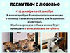 Увеличить изображение